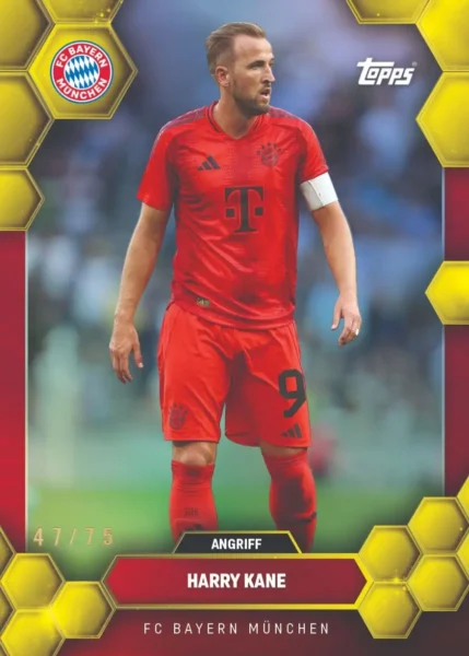 Topps® FC Bayern München Fan Set 2024/25 - Image 3